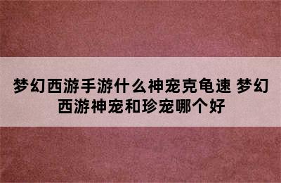 梦幻西游手游什么神宠克龟速 梦幻西游神宠和珍宠哪个好